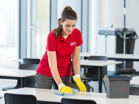 Vileda Professional r-MicroTuff Swift Temizlik Bezi 5 Li Sarı - 7