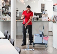 Vileda Professional UltraSpeed Pro Çift Kovalı Set - 2